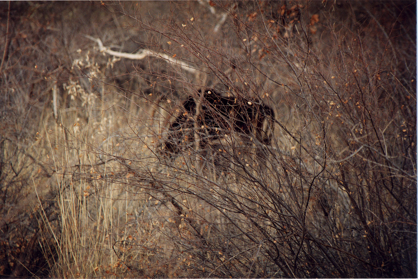 278.jpg, Waterberg Plateau