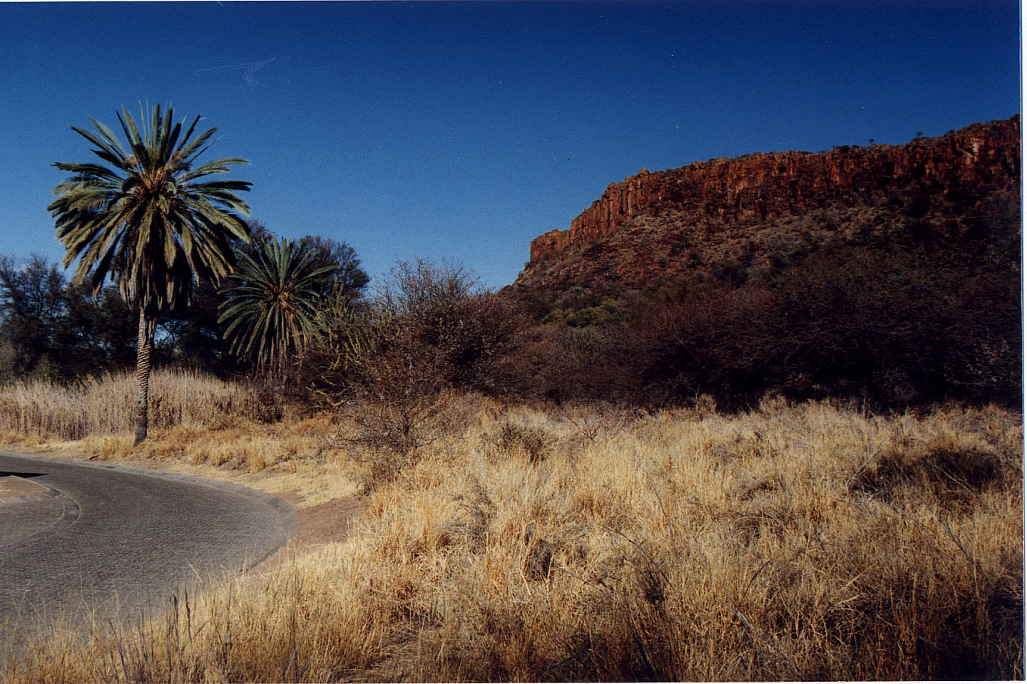 282.jpg, Waterberg Plateau