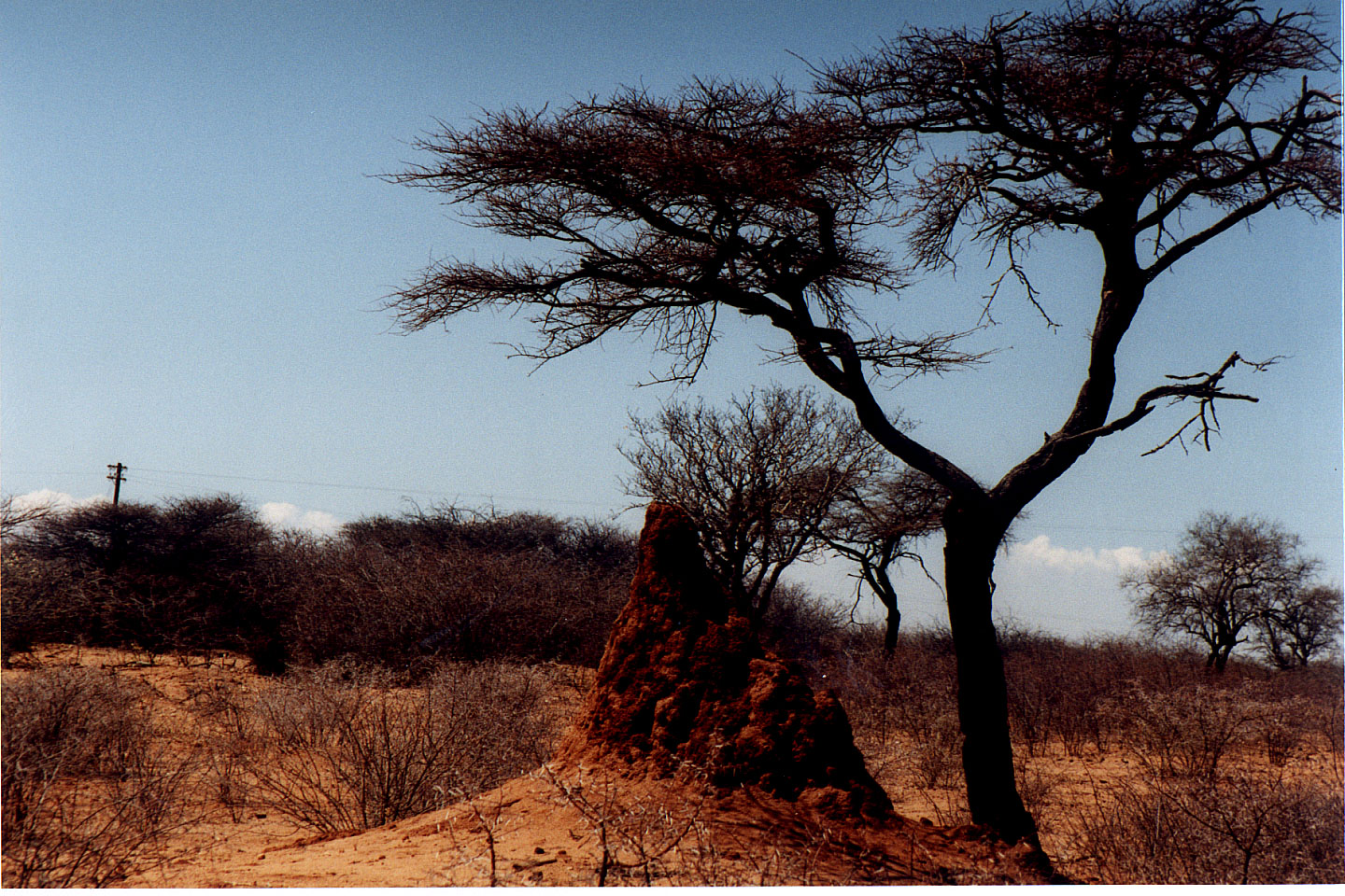 283.jpg, Okonjima Guest Farm