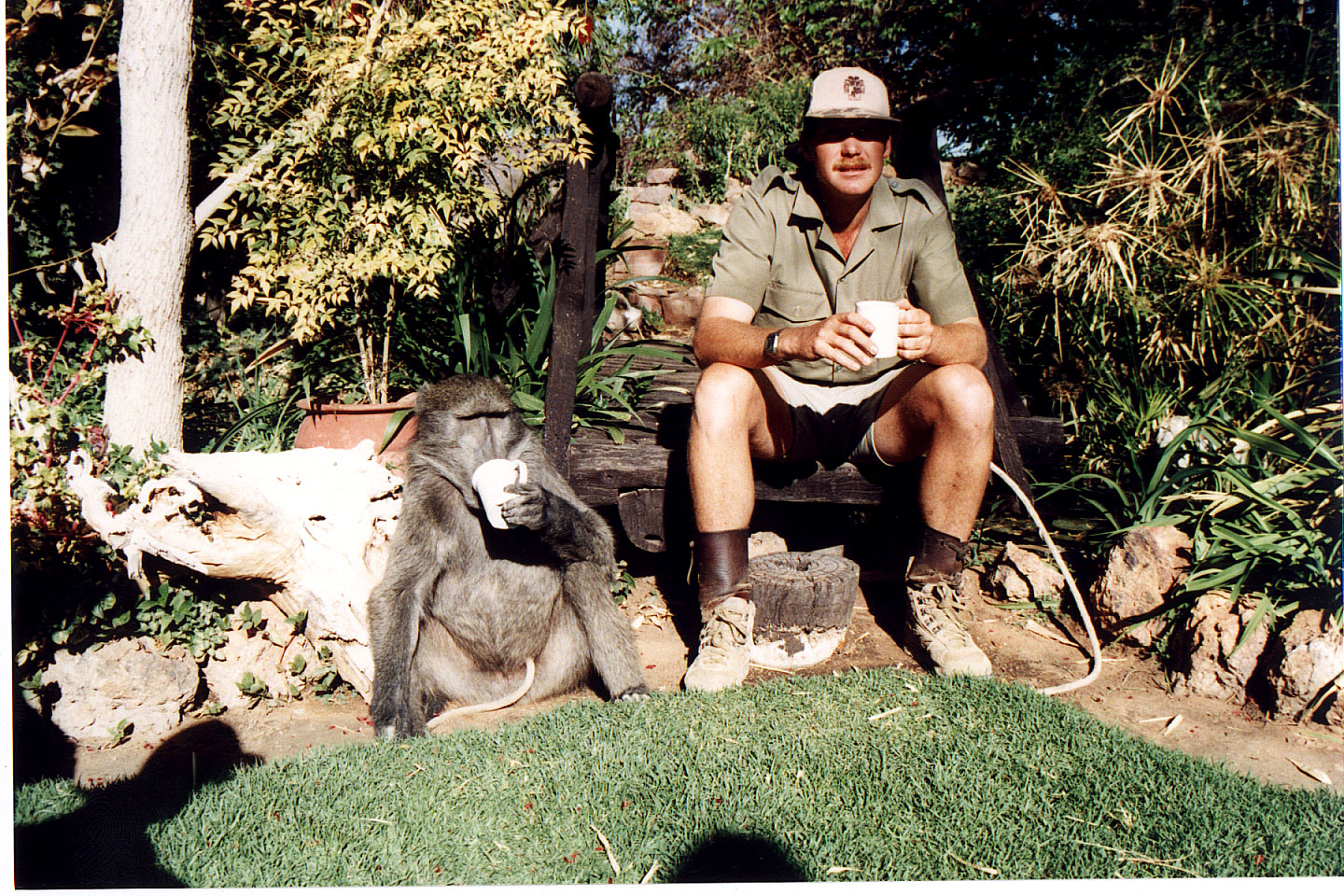 300.jpg, Baboon
Okonjima Guest Farm