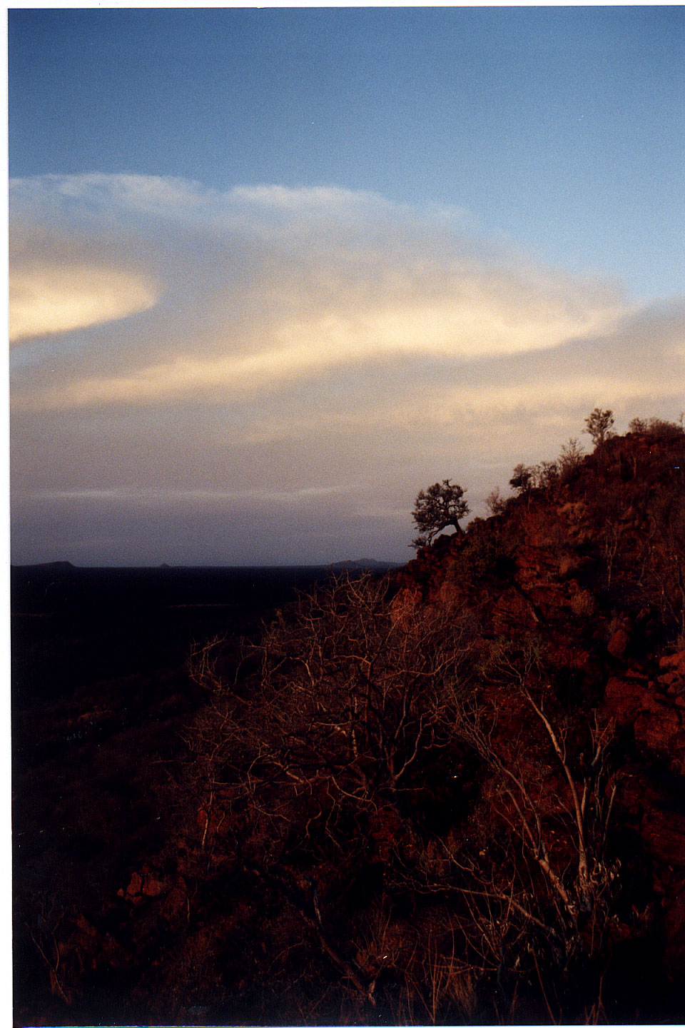 320.jpg, Okonjima Guest Farm