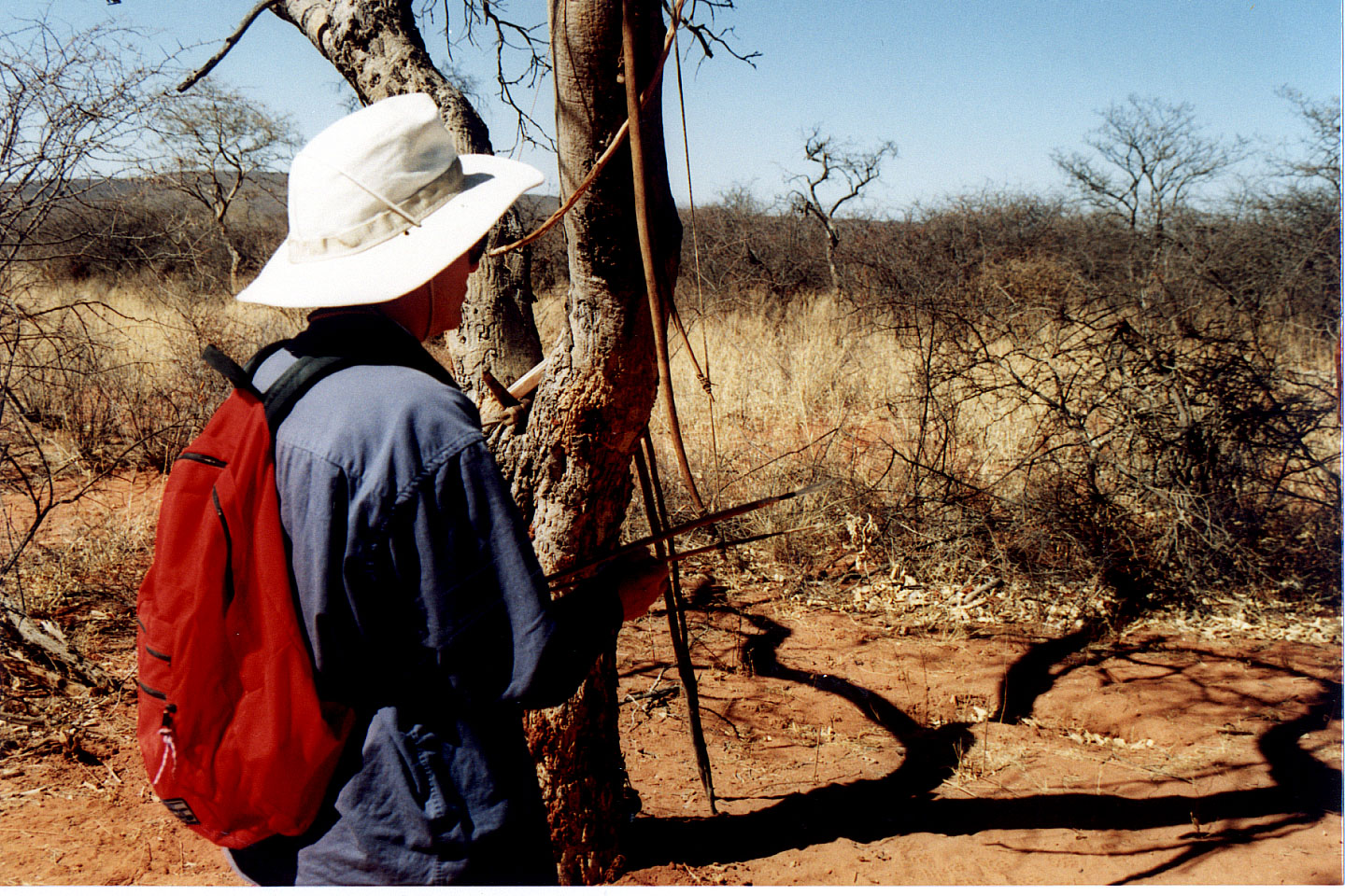 343.jpg, Okonjima Guest Farm