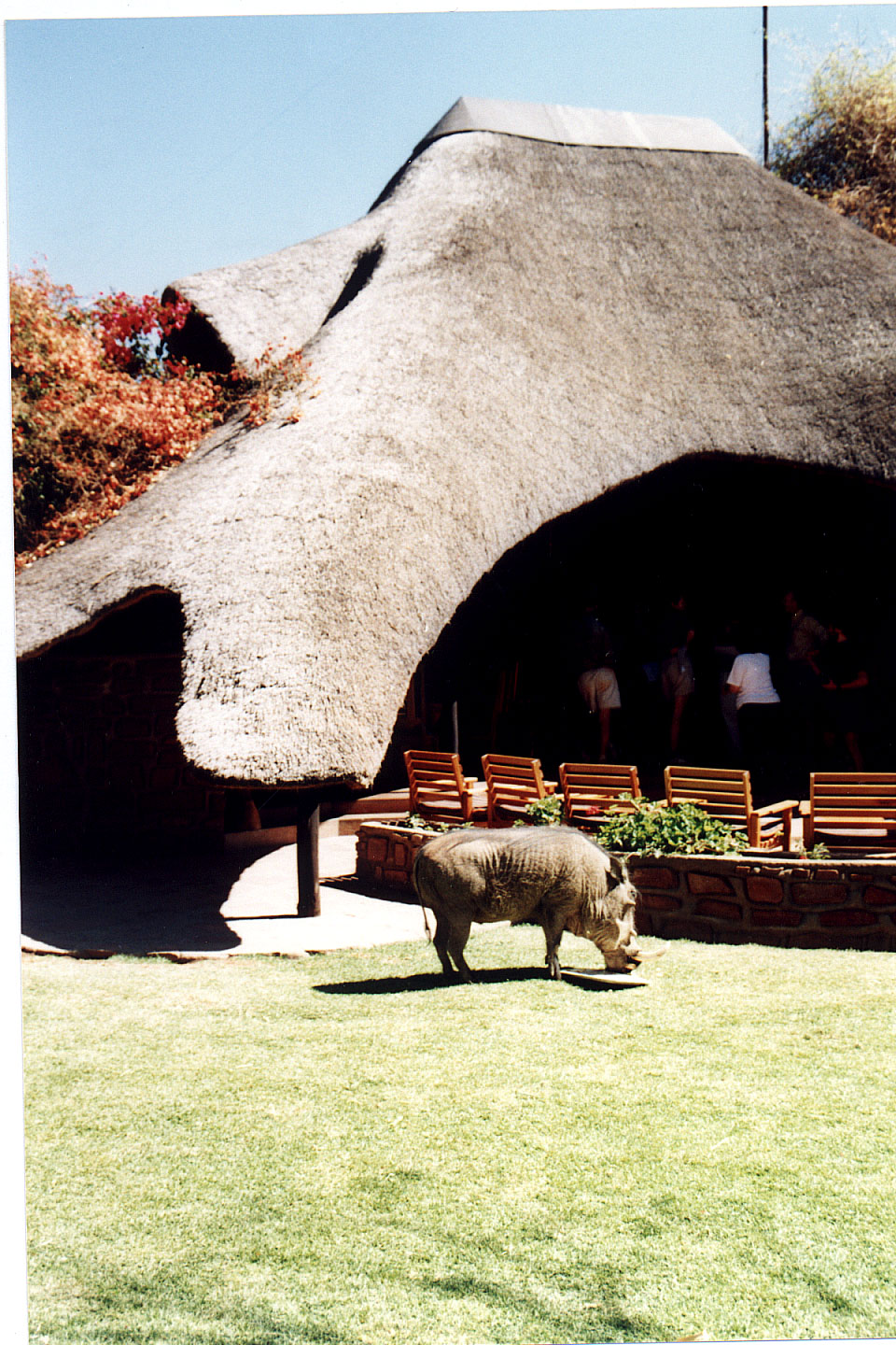 344.jpg, Okonjima Guest Farm