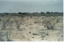 _144.jpg, Etosha National Park