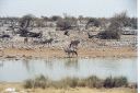 _149.jpg, Etosha National Park