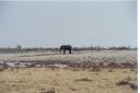 _165.jpg, Etosha National Park