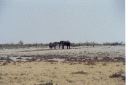 _166.jpg, Etosha National Park