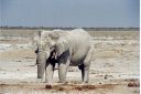 _167.jpg, Etosha National Park