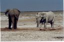 _168.jpg, Etosha National Park