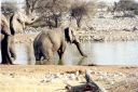 _179.jpg, Etosha National Park