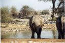 _180.jpg, Etosha National Park