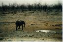 _205.jpg, Etosha National Park