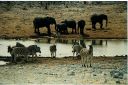 _210.jpg, Etosha National Park