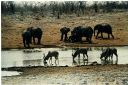 _212.jpg, Etosha National Park