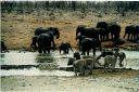 _215.jpg, Etosha National Park