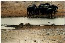 _224.jpg, Etosha National Park