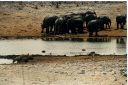 _225.jpg, Etosha National Park