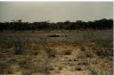 _234.jpg, Etosha National Park