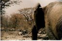 _243.jpg, Etosha National Park