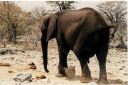 _246.jpg, Etosha National Park