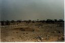 _256.jpg, Etosha National Park