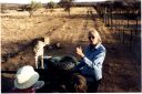 _316.jpg, Cheetah
Okonjima Guest Farm