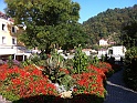 IMG_0603