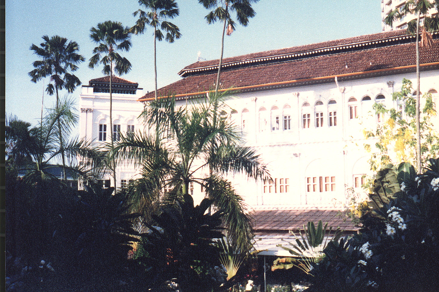 01-07.jpg, Raffles