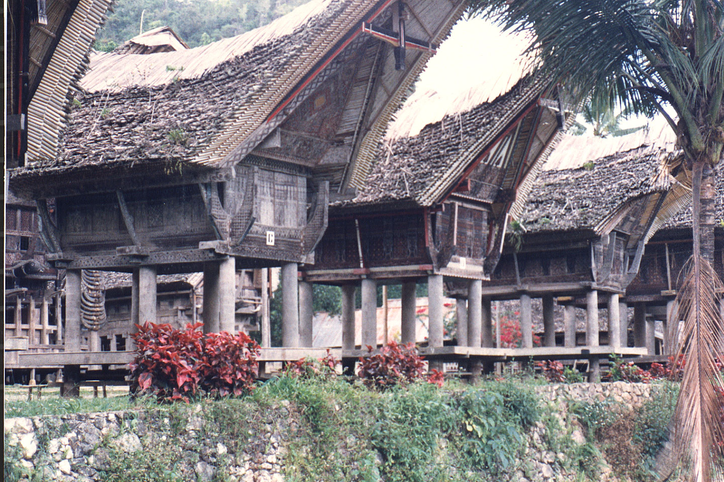 03-26.jpg, Toraja village