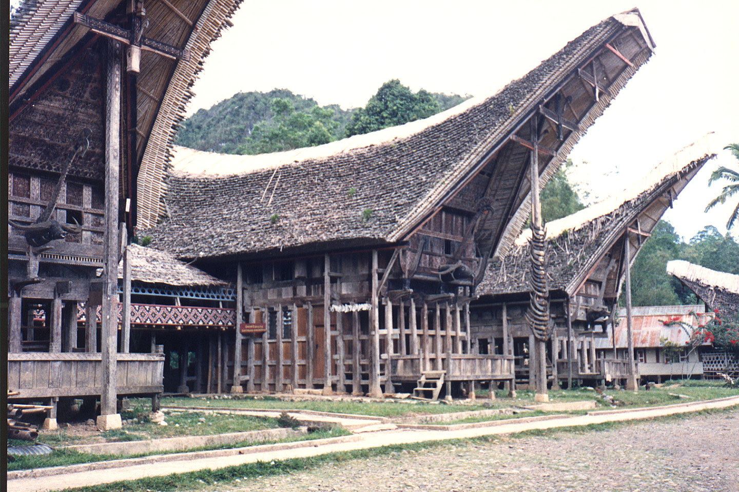 03-27.jpg, Toraja village