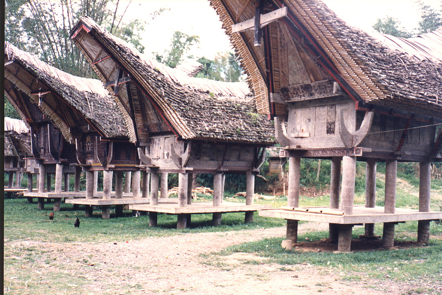 03-29.jpg, Toraja village