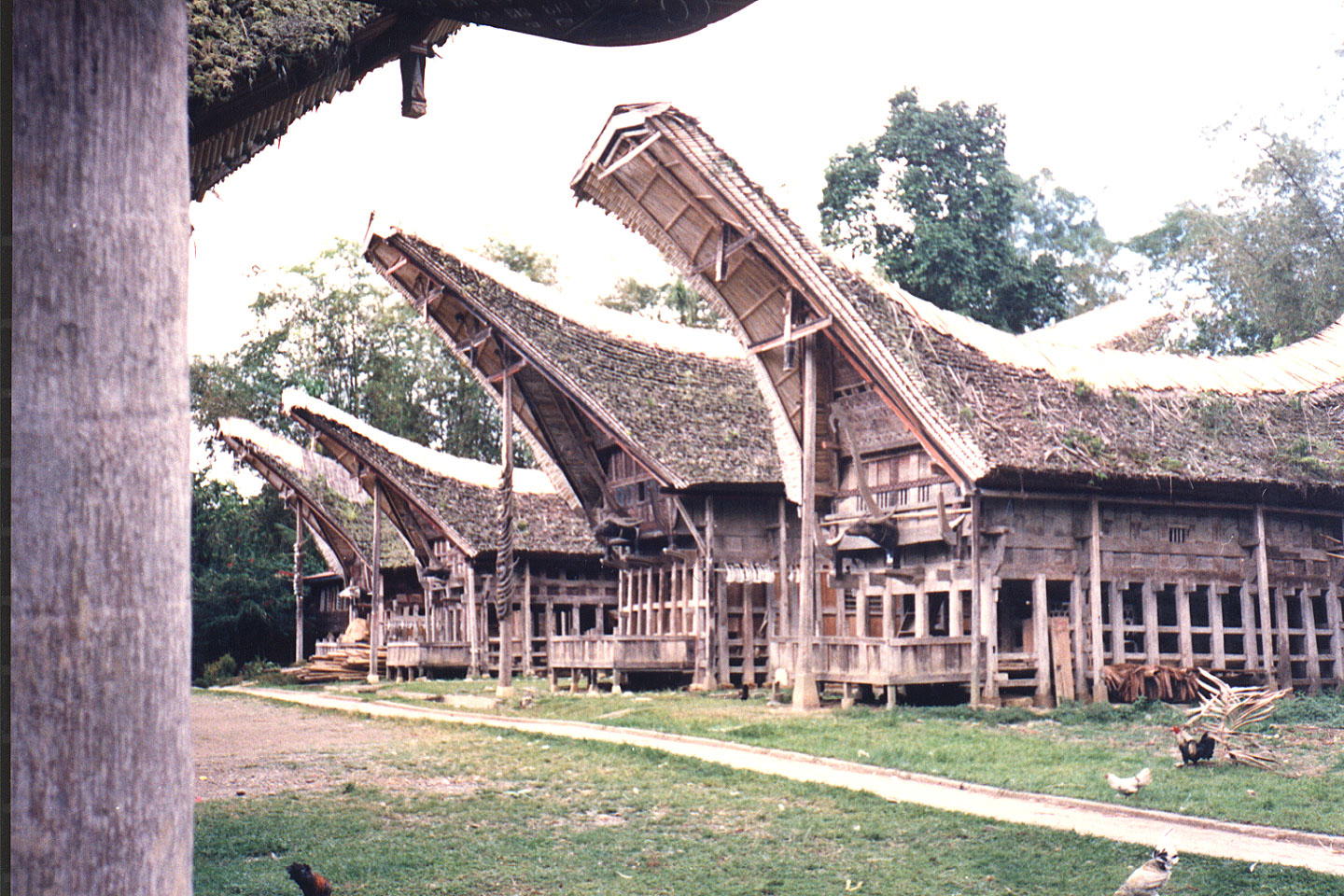 03-30.jpg, Toraja village