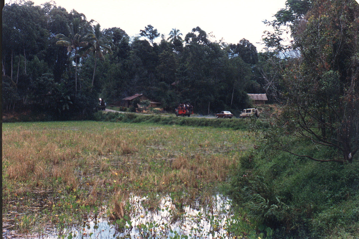 03-36.jpg, Funeral procession