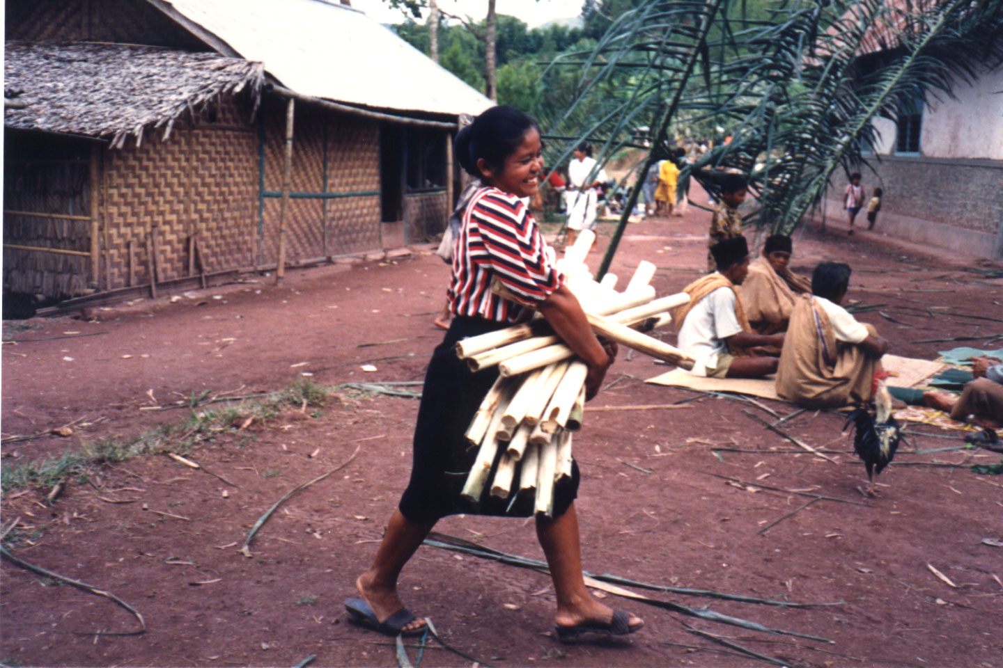 05-07.jpg, more bamboo...