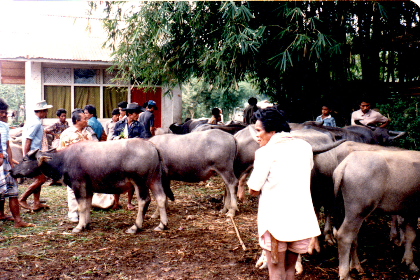 06-02.jpg, Market