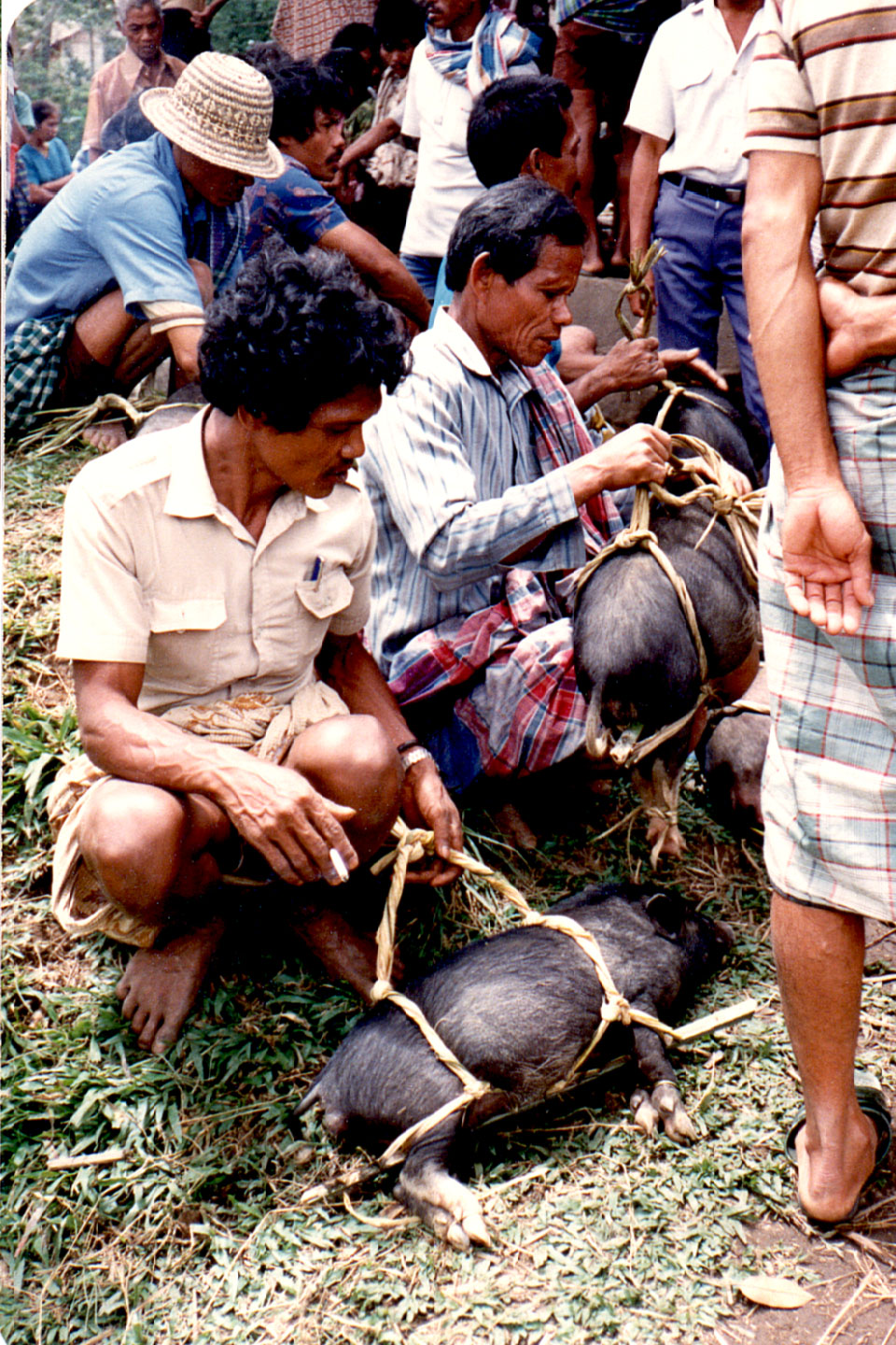 06-08.jpg, Market