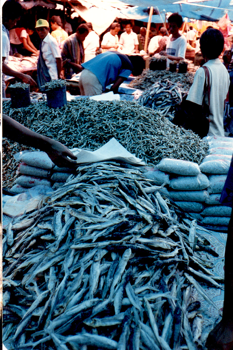 06-15.jpg, Market