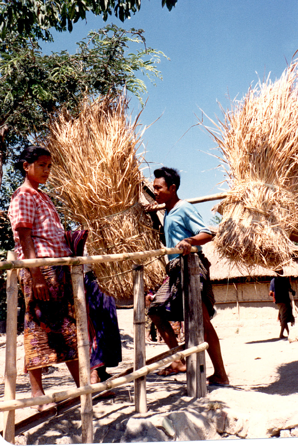 07-28.jpg, Local village
Lombok