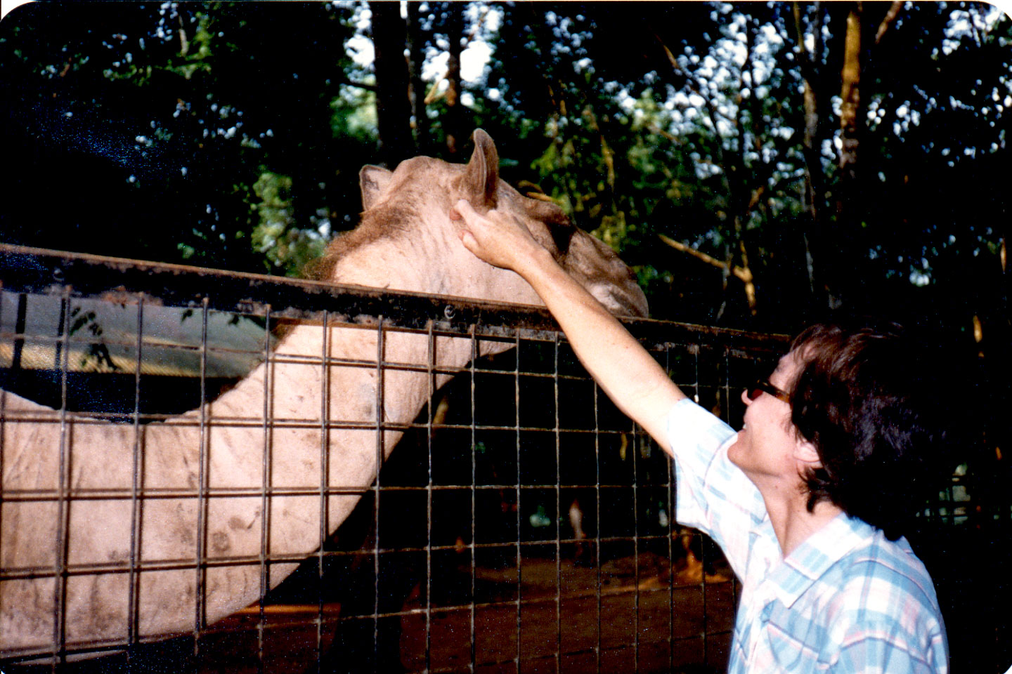 08-23.jpg, Jakarta Zoo