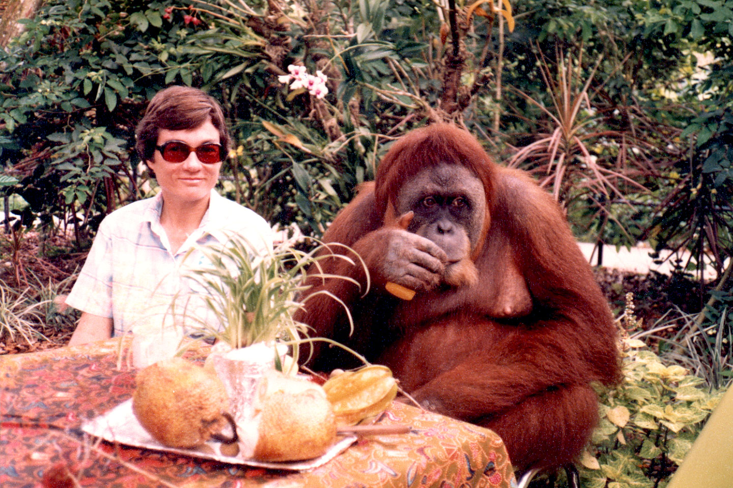 09-16.jpg, Breakfast
Singapore Zoo