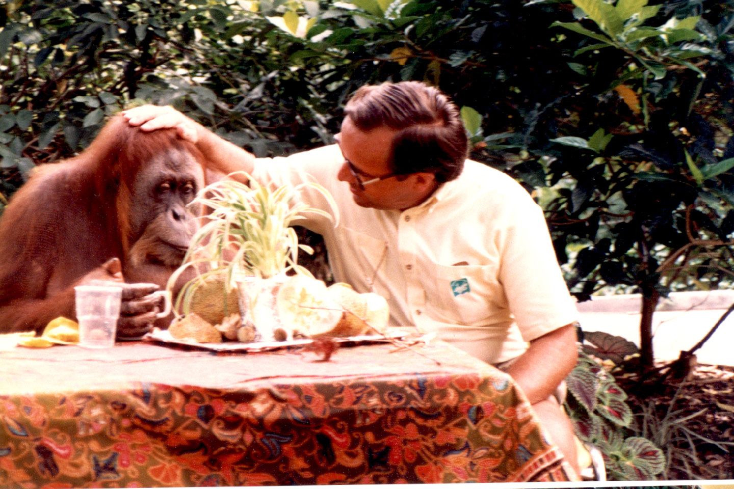 09-19.jpg, Breakfast
Singapore Zoo