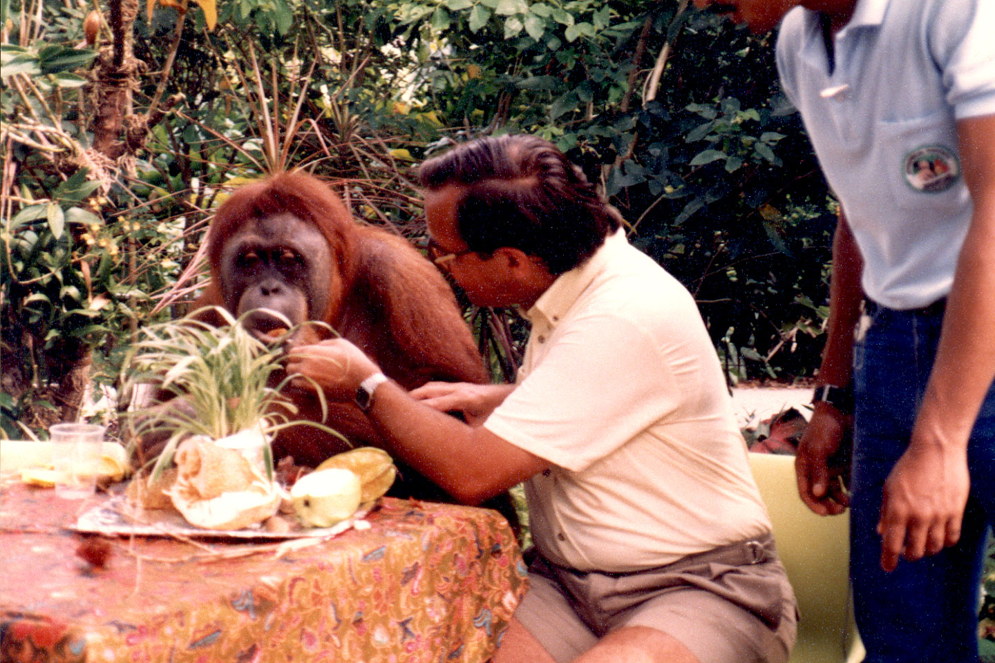 09-20.jpg, Breakfast
Singapore Zoo