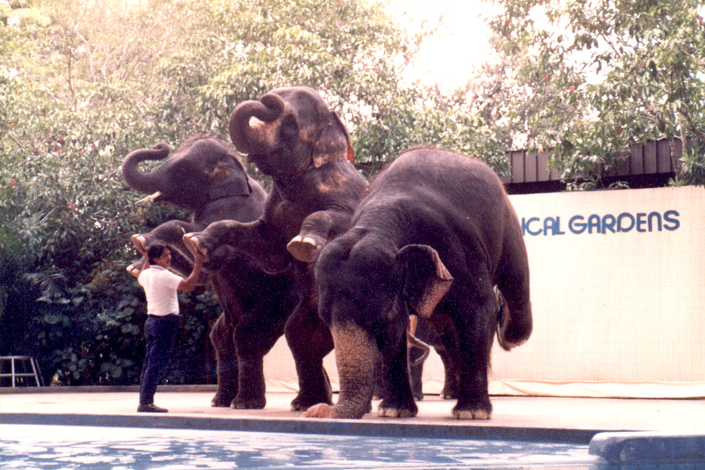 09-23.jpg, Singapore Zoo