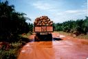 _08-26.jpg, Road to Lake Chini
Malaysia