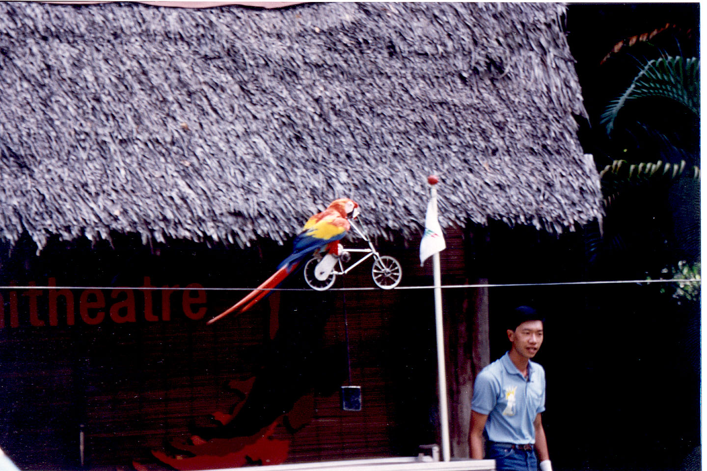 005.jpg, Jurong Bird Park
Singapore