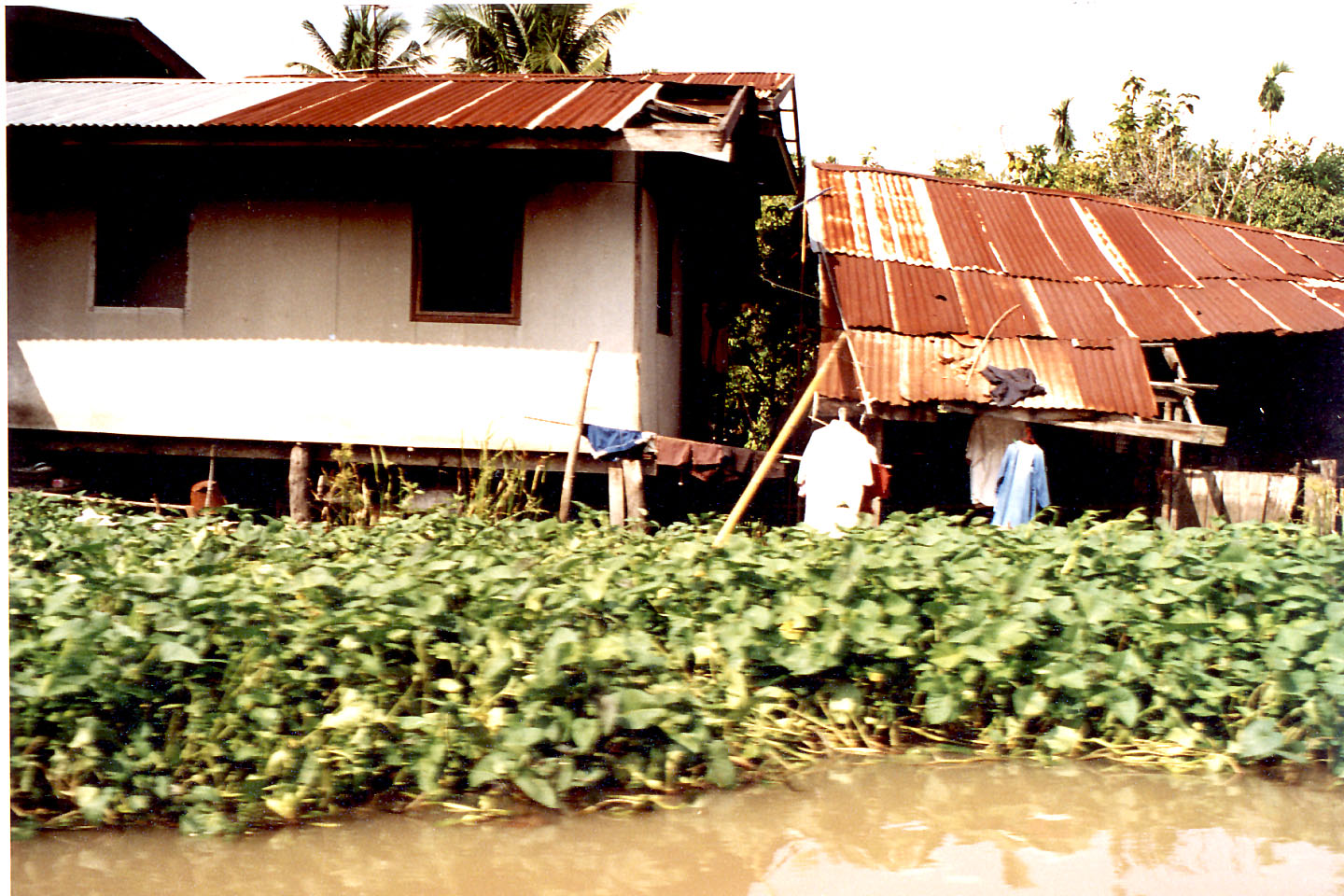 076.jpg, Klong tour
Bangkok