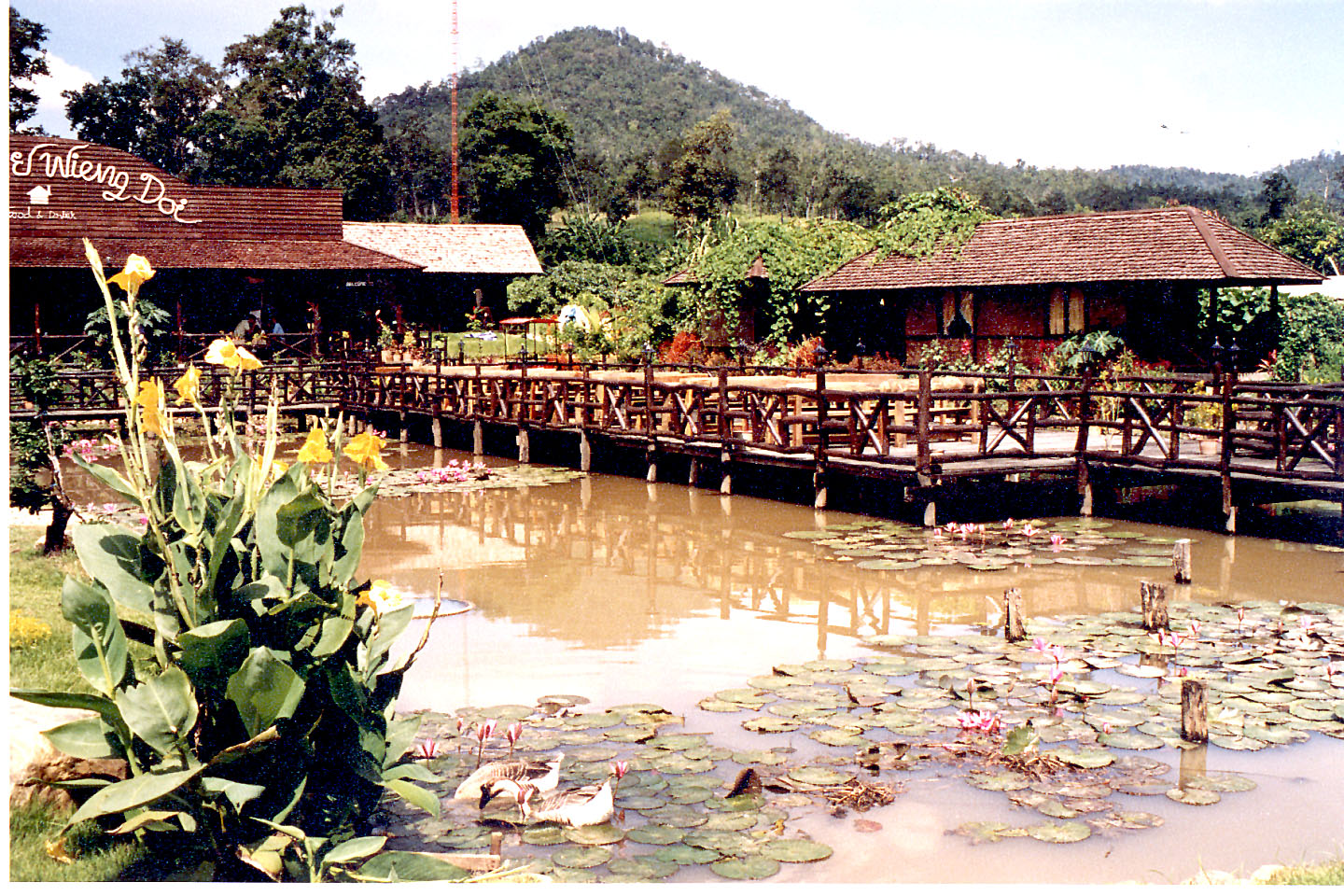 095.jpg, Northern Thailand