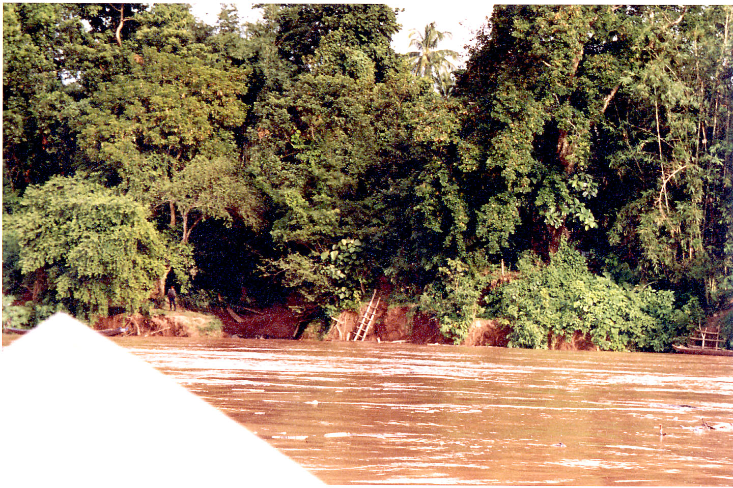 107.jpg, Laos
Golden Triangle