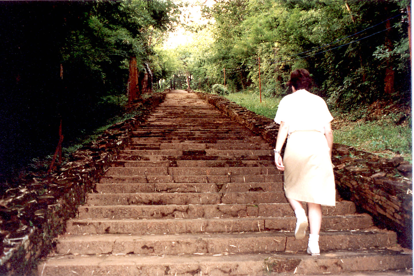 114.jpg, Climbing to temple
Golden Triangle