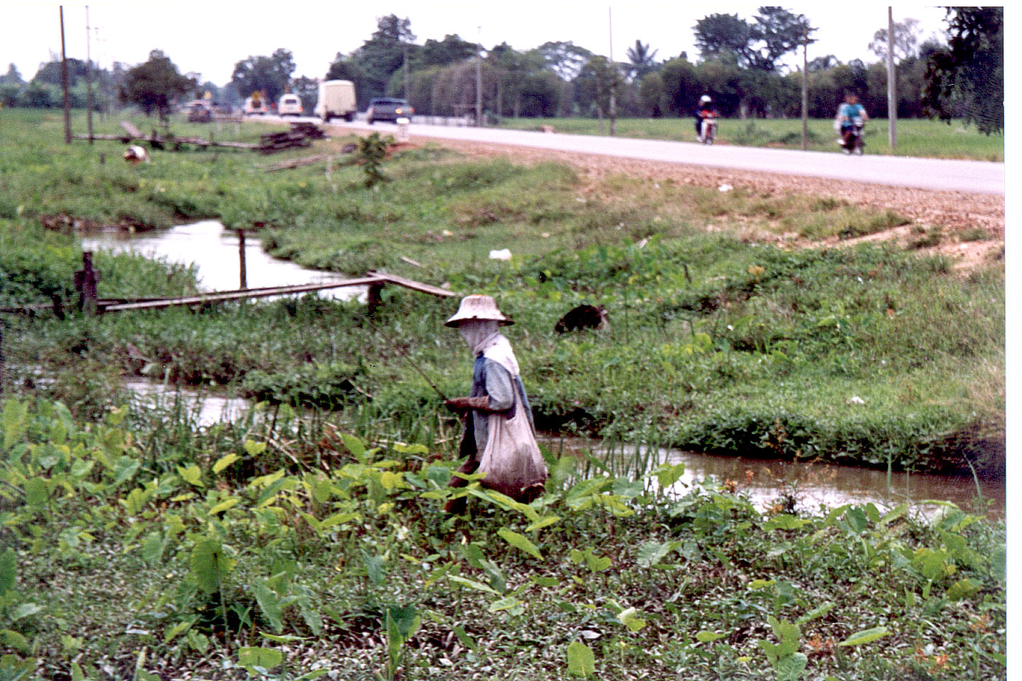 165.jpg, near Chiang Rai